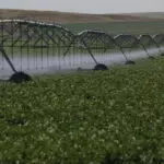 Упростить правовой механизм привлечения иностранной рабочей силы для аграрного сектора