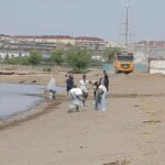 Зеленый десант в деле: в трудовых отрядах «Жасыл ел» Балхаша поработают 250 человек