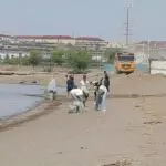 Зеленый десант в деле: в трудовых отрядах «Жасыл ел» Балхаша поработают 250 человек