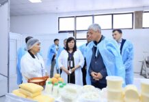 В Карагандинской области инвестируют в село