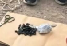 В Карагандинской области задержан наркокурьер с 287 закладками мефедрона