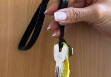 Booking по-карагандински: аферист сдавал квартиры в аренду