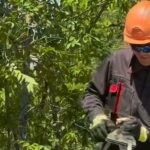 Еще в одном районе Караганды модернизируют электросети