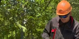 Еще в одном районе Караганды модернизируют электросети