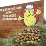Секреты второго хлеба: карагандинские фермеры перенимают опыт своих коллег из Нидерландов