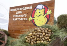 Секреты второго хлеба: карагандинские фермеры перенимают опыт своих коллег из Нидерландов