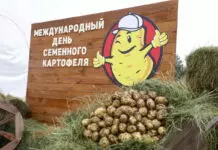 Секреты второго хлеба: карагандинские фермеры перенимают опыт своих коллег из Нидерландов