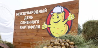 Секреты второго хлеба: карагандинские фермеры перенимают опыт своих коллег из Нидерландов