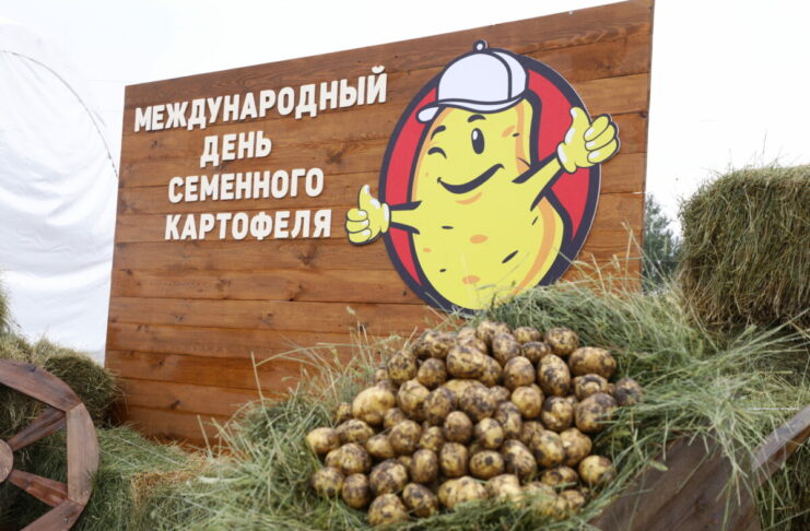 Секреты второго хлеба: карагандинские фермеры перенимают опыт своих коллег из Нидерландов
