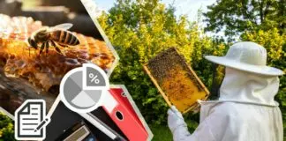 Паспорта для пчел: меняются правила ведения пчеловодства и племенного животноводства