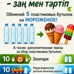 ECO FEST: мороженое или билетик в кино