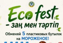ECO FEST: мороженое или билетик в кино