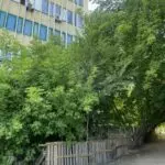 Кто подкидывает мусор?