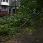 В Караганде погиб малыш во время ураганного ветра