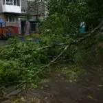 В Караганде погиб малыш во время ураганного ветра