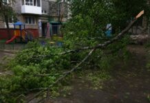 В Караганде погиб малыш во время ураганного ветра