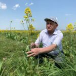Полынный путь ученого: Сергазы Адекенову — 70 лет