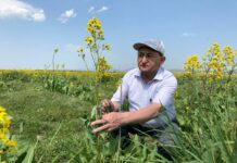 Полынный путь ученого: Сергазы Адекенову — 70 лет