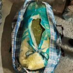 Около 180 кг наркотиков изъято в Карагандинской области