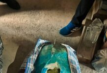 Около 180 кг наркотиков изъято в Карагандинской области