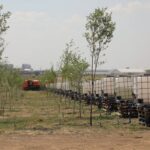 Новый экопарк: саженцы прижились и пошли в рост