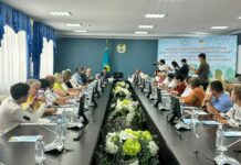 Достижения, проблемы и перспективы медиации в регионе