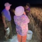 Внуки потеряли дедушку с бабушкой и забили тревогу