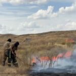 Пожары в Карагандинской области возникли из-за неосторожного обращения с огнем и грозового разряда