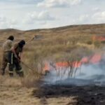 Пожары в Карагандинской области возникли из-за неосторожного обращения с огнем и грозового разряда