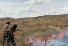 Пожары в Карагандинской области возникли из-за неосторожного обращения с огнем и грозового разряда