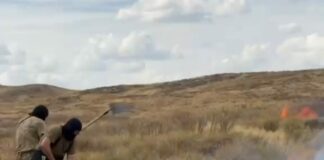 Пожары в Карагандинской области возникли из-за неосторожного обращения с огнем и грозового разряда