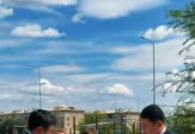 Сухой фонтан, новая сцена и теневые перголы появятся в шахтинском парке