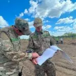 Гектары соснового леса растят в Новодолинском лесопитомнике