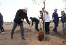 Карагандинцы и гости из столицы оставили свой след в озеленении города