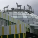 Карагандинские зооспециалисты обменялись опытом в Казани