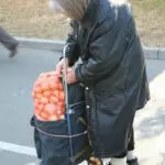 Сезонные овощи подешевели
