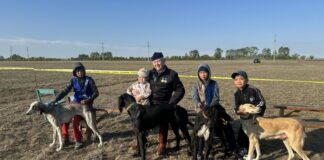 Казахстанцы отмечают День казахского тазы и тобета