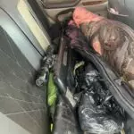Поймали с поличным: незаконный арсенал и мясо краснокнижного архара