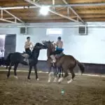 Лучшие батыры сразятся в традиционной казахской борьбе верхом на лошадях