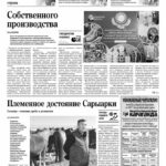 Свежий номер за 31 октября 2026 года