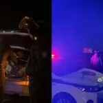 В регионе контролируют перевозку скота