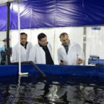 От производства сырья — к его глубокой переработке