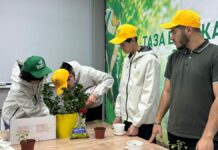 Зеленее и комфортнее станет Темиртау