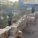 Более 217 тысяч теңге заплатит предприниматель из Караганды за загубленные саженцы