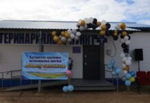 В регионе открывают новые ветеринарные пункты