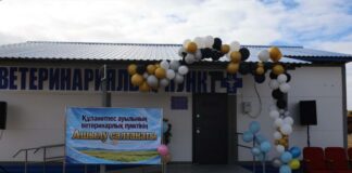 В регионе открывают новые ветеринарные пункты