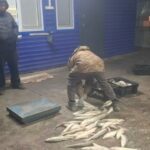 В регионе выявили два факта браконьерства