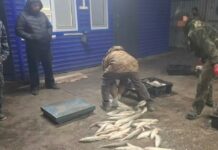 В регионе выявили два факта браконьерства